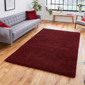 Roswell Ruby Red Stain Resistant Shaggy Rug for living room