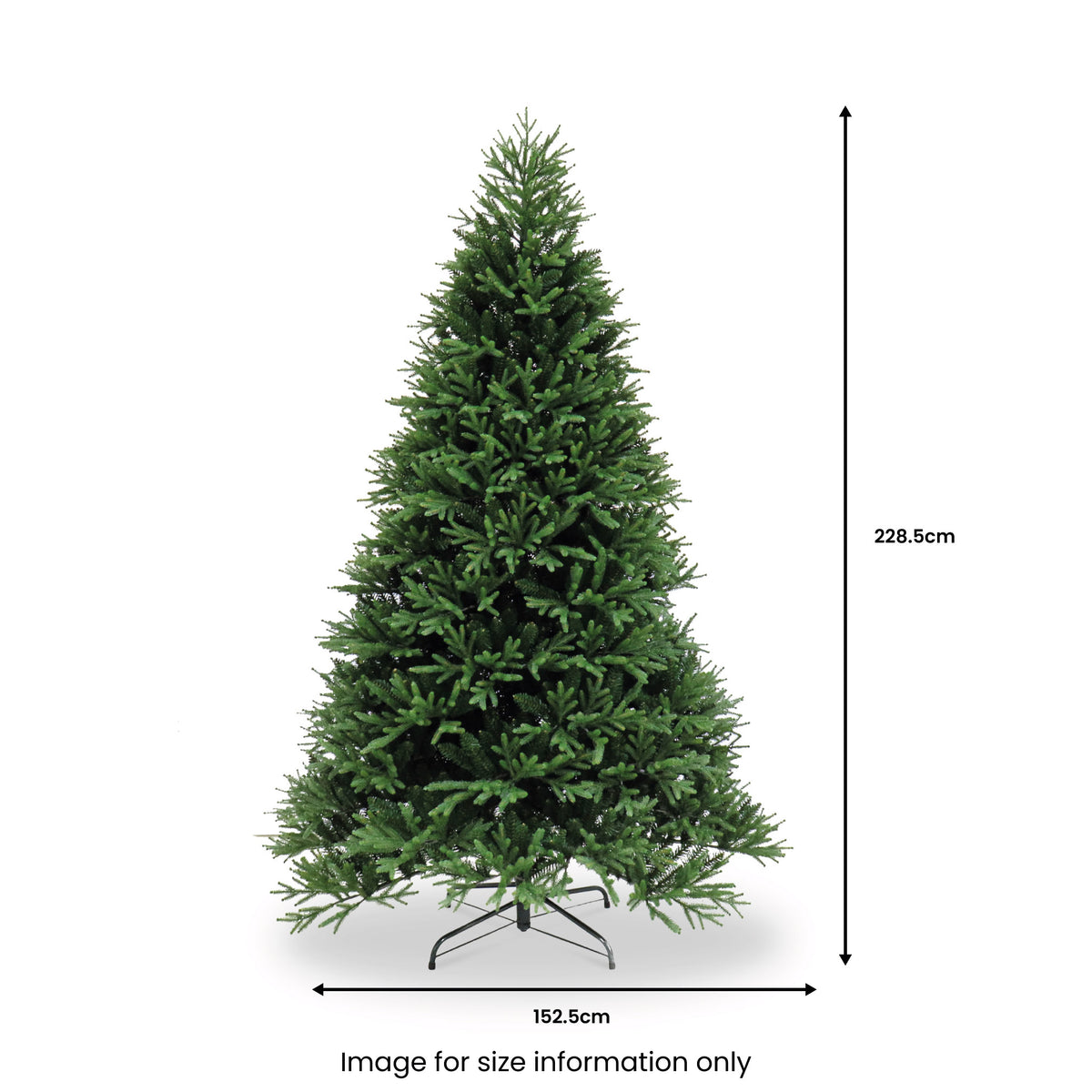 Royal Fir 7.5ft Christmas Tree from Roseland