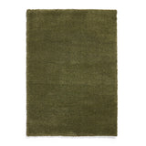 Roswell Olive Stain Resistant Shaggy Rug for living room