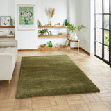 Roswell Olive Stain Resistant Shaggy Rug for living room