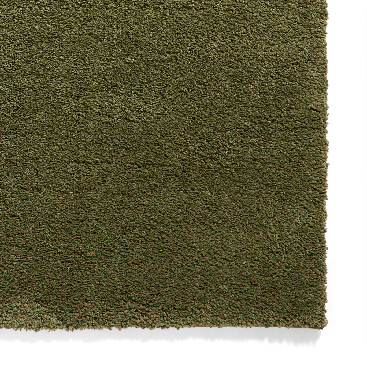 Roswell Olive Stain Resistant Shaggy Rug for living room