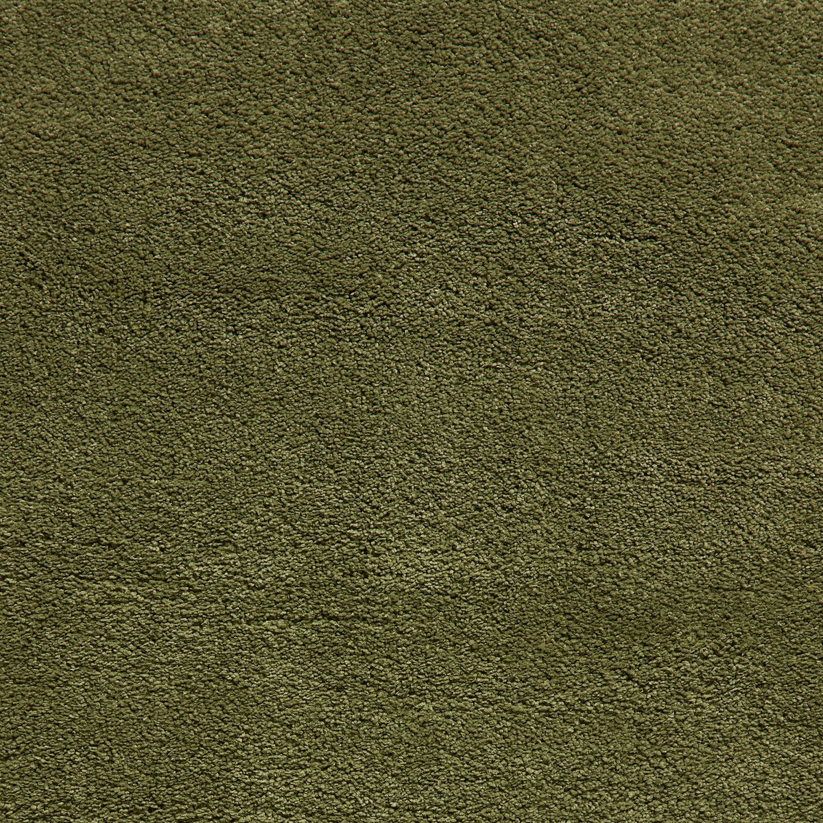Roswell Olive Stain Resistant Shaggy Rug for living room