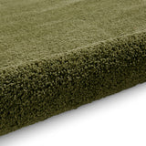 Roswell Olive Stain Resistant Shaggy Rug for living room
