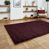 Roswell Purple Stain Resistant Shaggy Rug for living room