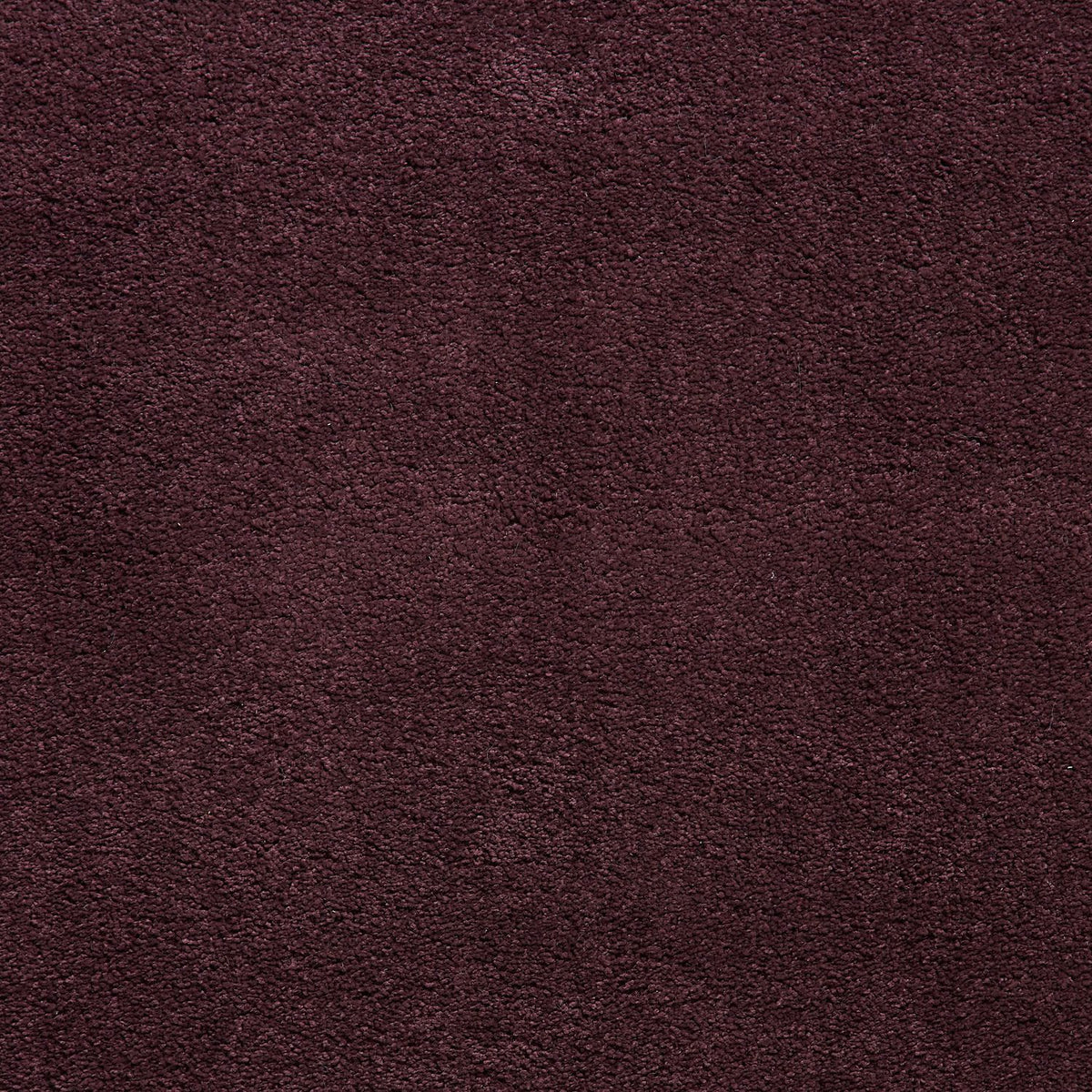 Roswell Purple Stain Resistant Shaggy Rug for living room