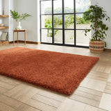 Roswell Terracotta Stain Resistant Shaggy Rug for living room