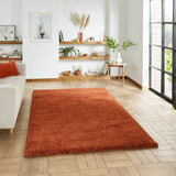 Roswell Terracotta Stain Resistant Shaggy Rug for living room