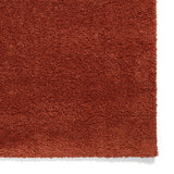 Roswell Terracotta Stain Resistant Shaggy Rug for living room