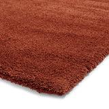Roswell Terracotta Stain Resistant Shaggy Rug for living room
