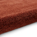 Roswell Terracotta Stain Resistant Shaggy Rug for living room