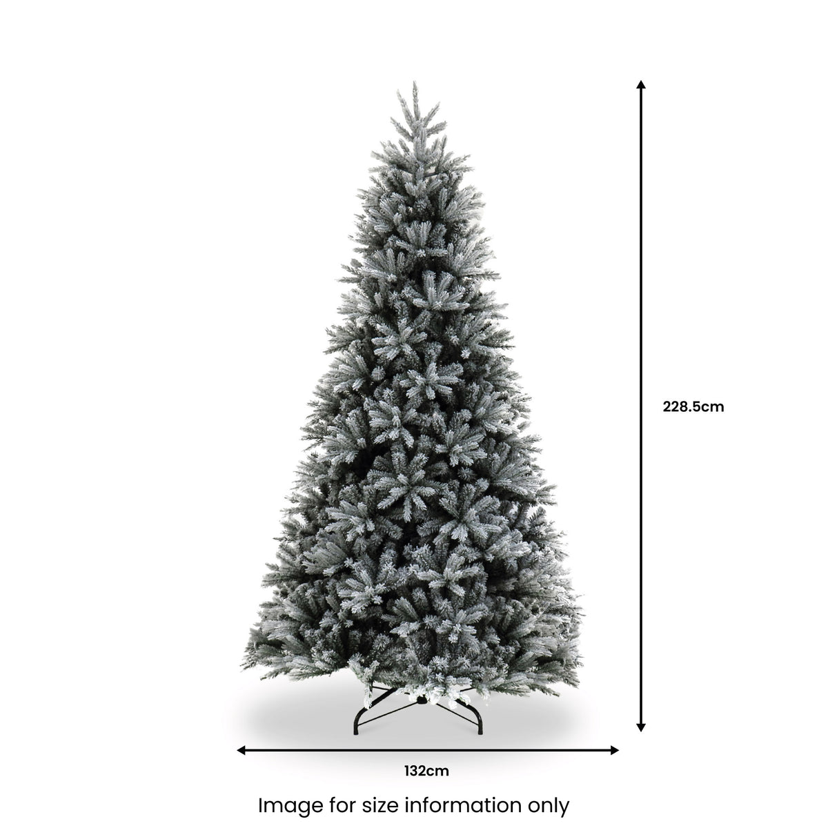 Snowy St Petersburg Fir 7.5ft Christmas Tree from Roseland