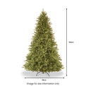 Tiffany Fir 6ft Christmas Tree from Roseland