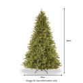 Tiffany Fir 7ft Christmas Tree from Roseland