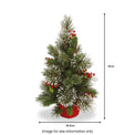 Wintry Pine 2ft Frosted Christmas Tree from Roseland