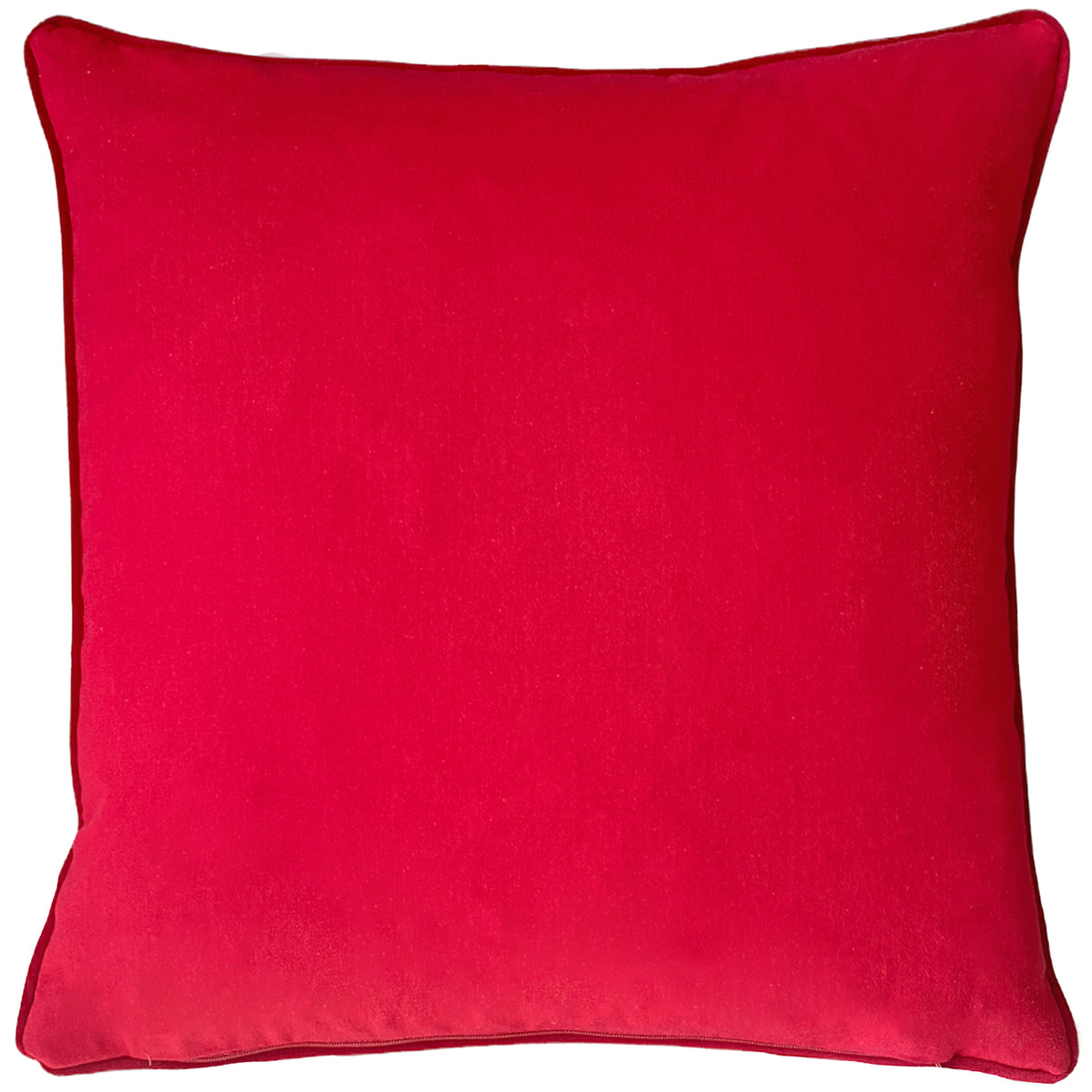 Renee Velvet Chenille Polyester Cushion