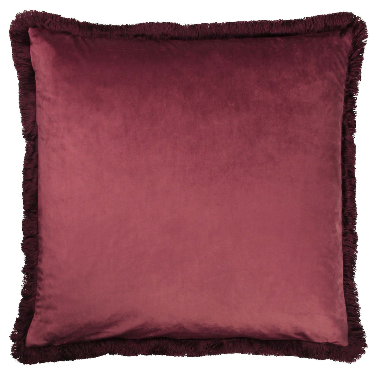 Cahala 50cm Tropical Fringed Cushion