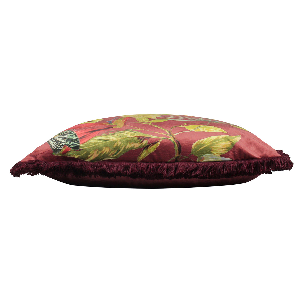 Cahala 50cm Tropical Fringed Cushion