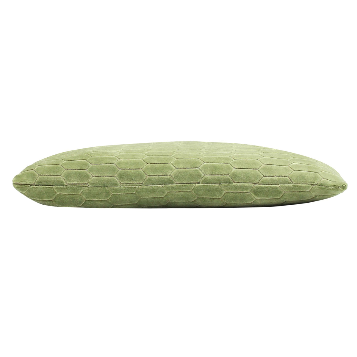 Kingsley Polyester Cushion | Aloe