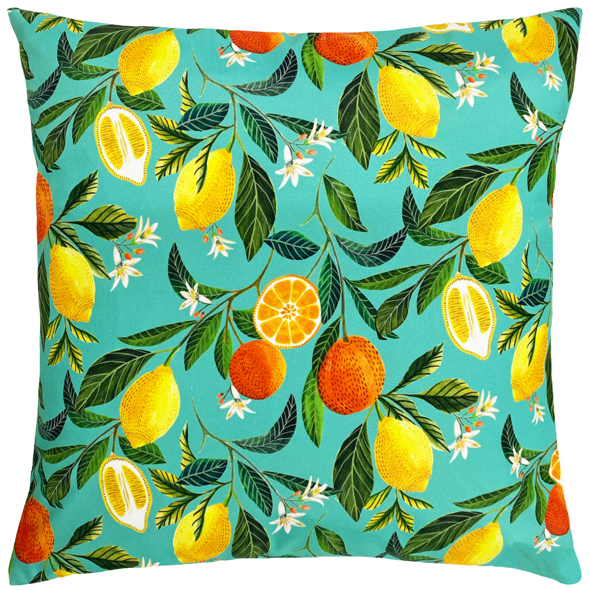 Orange Blossom 43cm Reversible Outdoor Polyester Cushion