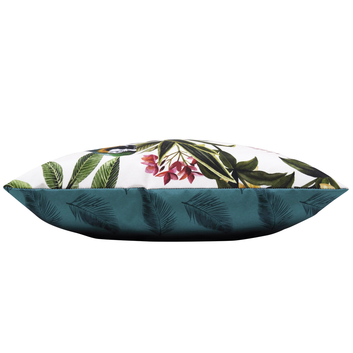 Parrots 43cm Reversible Outdoor Polyester Cushion