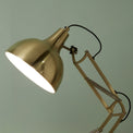 Alonzo Brass Metal Task Table Desk Lamp