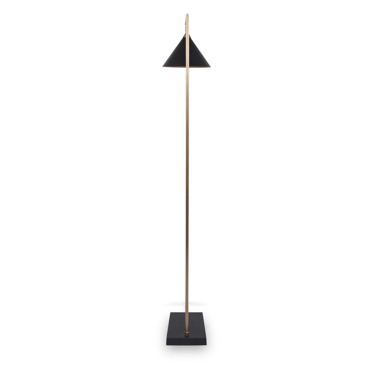 Zeta Matt Black and Antique Brass Floor Lamp