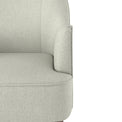 Todd Silk Accent Chair for Living Room or Bedroom