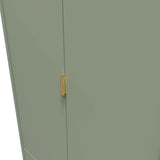 A closed green cabinet with a vertical golden handle is set against a plain background.