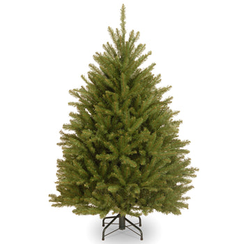 Dunhill Fir Tree