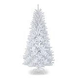 Dunhill White Fir Tree
