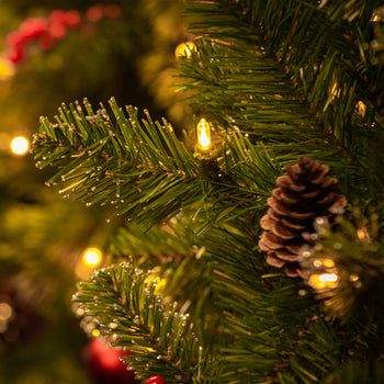 Glittery Bristle Pine Warm White LED 24" Wreath