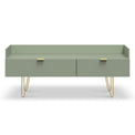 Moreno Olive Green 2 Drawer Media Console Unit with gold hairpin legs from Roseland Furniture