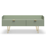 Moreno Olive Green 2 Drawer Media Console Unit with gold hairpin legs from Roseland Furniture