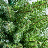 Kingswood Fir Pencil Tree