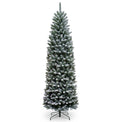 Snowy Kingswood 6ft Tree from Roseland