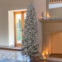 Snowy Kingswood 6ft Tree