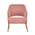 Delphine Pink Velvet Glam Accent Chair