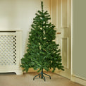 North Valley Spruce Tree