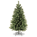 North Valley Spruce Tree from Roseland