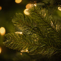 Bayberry Spruce Warm White LED 6ft Tree