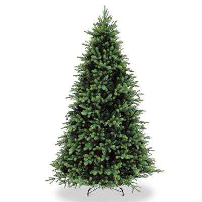 Cumberland Tree