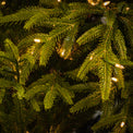 Frasier Grande Pre Lit Warm White LED Tree