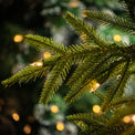 Frasier Grande Pre Lit Warm White LED Tree