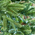 Frasier Grande Pre Lit Warm White LED Tree