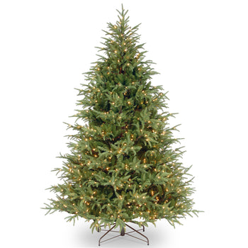 Frasier Grande Pre Lit Warm White LED Tree