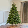 Frasier Grande Pre Lit Warm White LED Tree