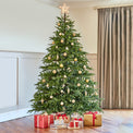 Frasier Grande Pre Lit Warm White LED Tree