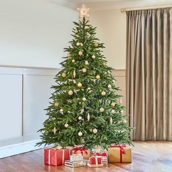 Frasier Grande Pre Lit Warm White LED Tree