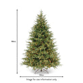 Frasier Grande Pre Lit Warm White LED 6ft Tree