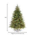 Frasier Grande Pre Lit Warm White LED 7ft Tree